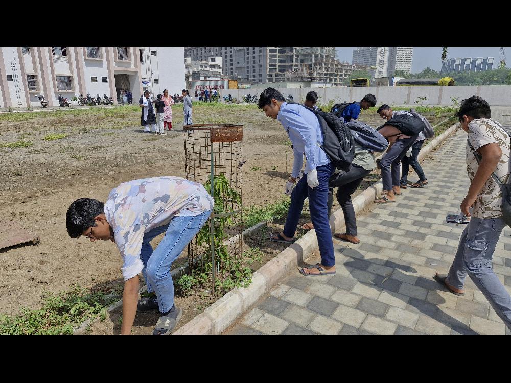 સ્વચ્છતા અભિયાન