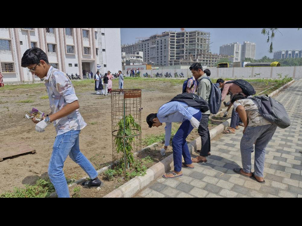 સ્વચ્છતા અભિયાન